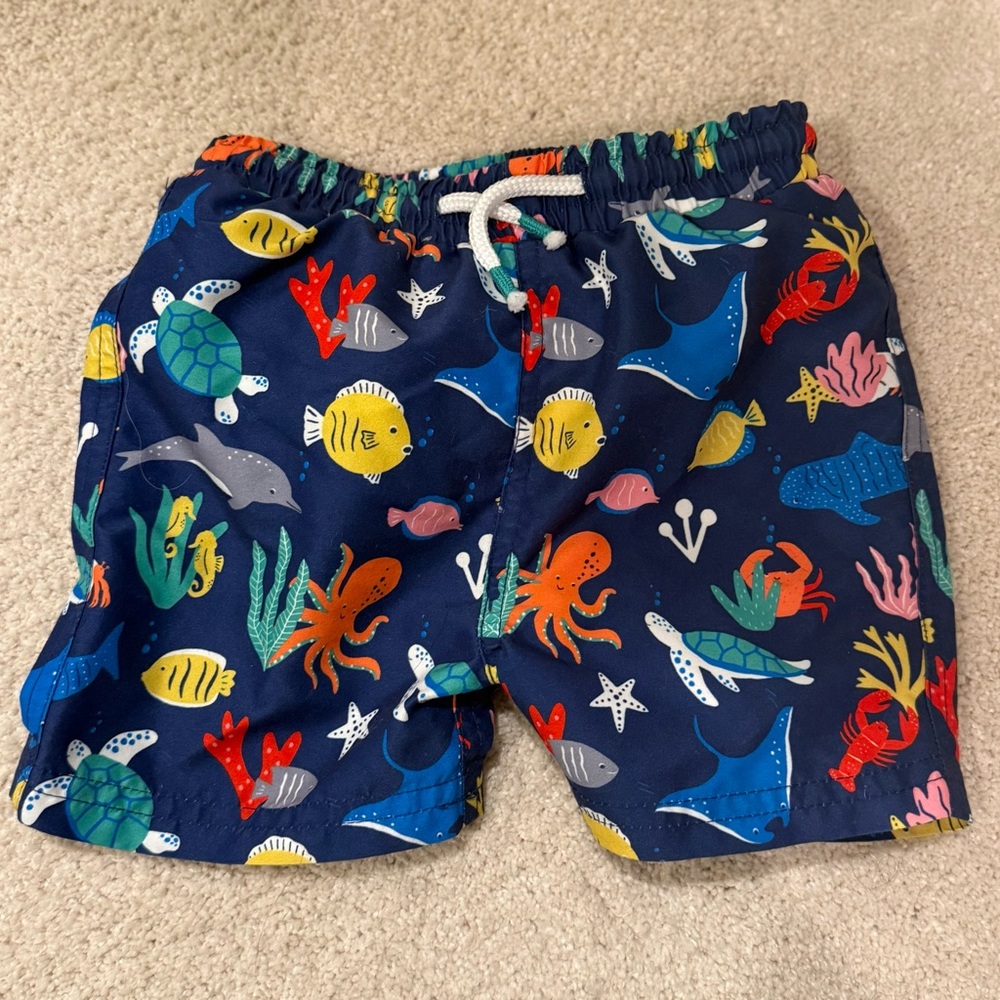 Baby Boden Colorful Sea Life Swim Trunks